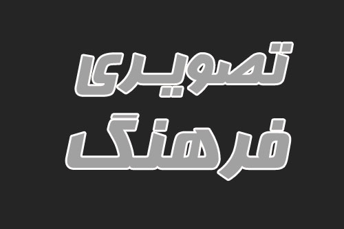 فرهنگ تصویری