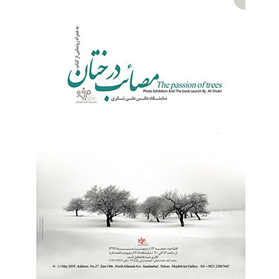 «مصائب درختان» نام نمایشگاه و کتاب عکسی از علی شکری