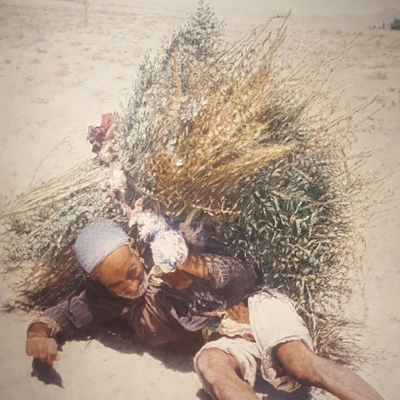 آثار نقاشی 